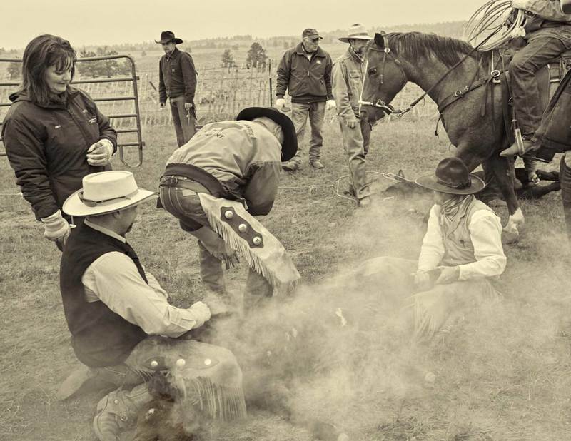 Rough and Tumble, Smoke and Rope